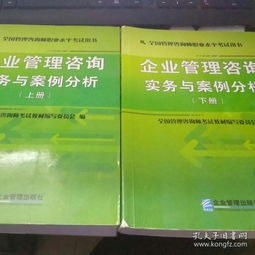 企業(yè)管理咨詢實(shí)務(wù)與案例分析